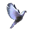 Popis: Popis: Popis: Popis: Popis: Popis: Popis: Popis: Popis: C:\Users\Kristian Kitlei\Documents\MEA2000\meaweb\bird.gif
